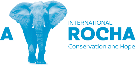 A Rocha International logo